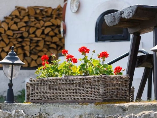 Falusi turizmus szolgáltató és Falusi vendéglátó